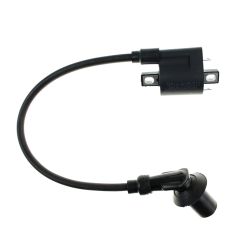 COIL ASSY IGN