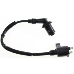 COIL ASSY IGN ERSATT AV: 3051A-LBD4-900