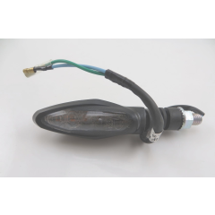 WINKER ASSY RH RR