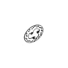 22. REAR BRAKE DISC ,E5+