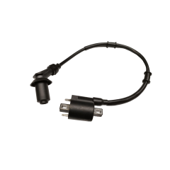 4. IGNITION COIL ASSY.