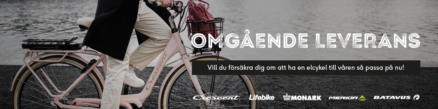 omgaende leverans landningssida