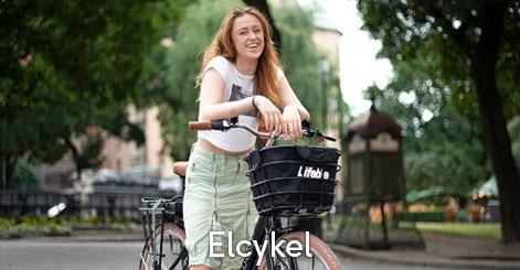 Elcykel kategori